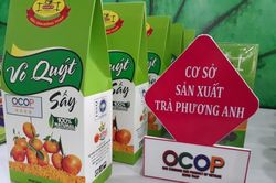 Thương mại, dịch vụ phục hồi và tăng trưởng khá