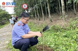 Chi đoàn VKSND huyện Đồng Phú cùng tham gia chiến dịch tình nguyện hè 2023