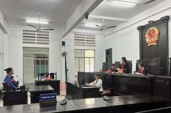 Dùng giấy tờ đất giả để cầm cố