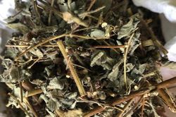 Bài thuốc trị đầy bụng, khó tiêu từ hoắc hương