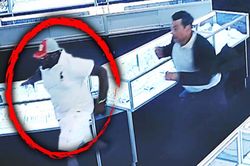 Cướp dây chuyền táo tợn tại cửa hàng trang sức ở Mỹ