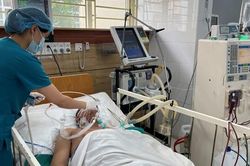 Giật mình số người tử vong vì bệnh dại
