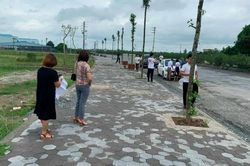 Nhiều cuộc đấu giá đất ở Hà Nội bị tạm dừng bất ngờ