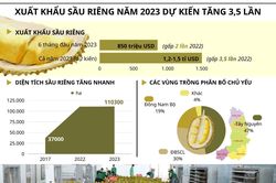 Xuất khẩu sầu riêng của VN năm 2023 dự kiến tăng mạnh