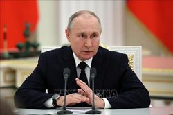Tổng thống Putin đánh giá cao mối quan hệ giữa Nga và châu Phi