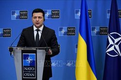 Hội đồng NATO - Ukraine nhóm họp trong tuần này