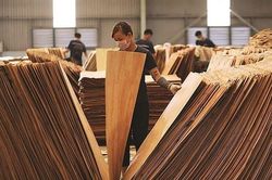 Anh sắp công nhận Việt Nam có nền kinh tế thị trường trong các vụ điều tra PVTM
