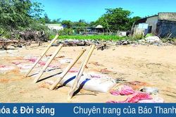 Nỗi lo 'biển nuốt làng' ở Hoằng Phụ
