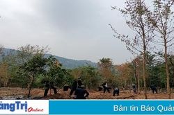 Nỗ lực trên hành trình đi tìm đồng đội