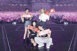 Concert BLACKPINK mở cánh cửa bước ra thế giới của ngành công nghiệp giải trí Việt Nam