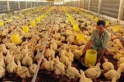 Cần thêm xung lực cho lộ trình hội nhập