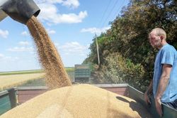 Nga rút khỏi Sáng kiến Ngũ cốc Biển Đen: Nông dân Ukraine lao đao