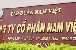 Navifico (NAV) lợi nhuận Quý 2 sụt giảm 33,3%, chậm kế hoạch lợi nhuận năm 2023