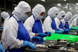 Ngân hàng bơm vốn, doanh nghiệp ngóng đơn hàng