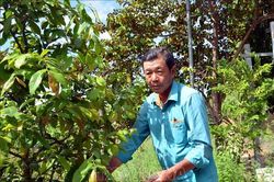 Sáng ngời tấm gương thương binh tàn nhưng không phế