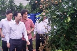 Bí thư Thành ủy Cần Thơ: Tìm nét đặc thù để phát triển mạnh mẽ thương hiệu Thanh Nhãn