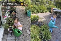 Cặp sinh đôi nhà Hà Hồ tập làm nông ở Thụy Điển