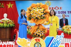 Liên đoàn Lao động quận Sơn Trà thực hiện tốt công tác chăm lo, bảo vệ đoàn viên, người lao động