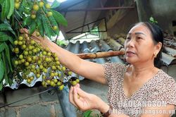 Hội nông dân huyện Cao Lộc: 'Cầu nối' đưa vốn chính sách đến nông dân