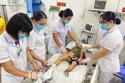 Bị rắn hổ mang cắn khi đang ngủ, bé 2 tuổi nguy kịch