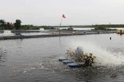 Nghệ An: Triển khai gói cho vay ưu đãi 15.000 tỷ đồng đối với lĩnh vực lâm, thủy sản