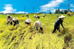 Bắc Bộ nắng chói chang, trời oi bức
