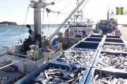 Hàn Quốc tăng cường kiểm tra phóng xạ trên biển