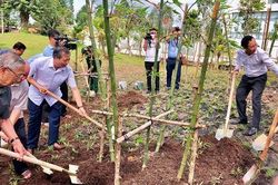 Cần Thơ: Trồng 270 cây tre từ Lăng Bác tại Đền thờ Vua Hùng