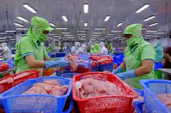 Doanh nghiệp lách để vay hơn, ngân hàng trách không chung thủy khó cùng thuyền