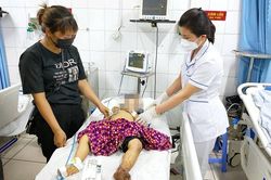 Rắn hổ mang bò lên giường cắn bé 2 tuổi nguy kịch