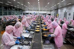 Nới lỏng điều kiện vay vốn, tín dụng sẽ ồ ạt tăng, nhưng lo nợ xấu