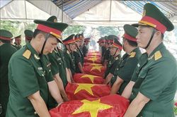 Bến Tre: Truy điệu, cải táng 121 hài cốt liệt sỹ