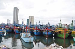Chủ động quản lý tàu thuyền ra khơi, tránh bão Doksuri