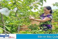 Tín dụng chính sách góp phần xây dựng nông thôn mới