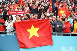 Muôn màu cổ động viên tại World Cup nữ 2023