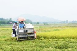Cơ giới hóa nông nghiệp: Giảm chi phí, tăng lợi nhuận