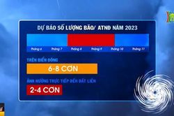 Những cơn bão mạnh và cảnh báo