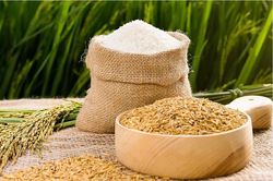 Chiếm lĩnh thị phần gạo toàn cầu