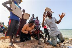 Tunisia tìm thấy trên 900 thi thể người di cư ngoài khơi