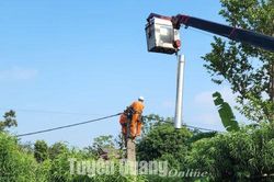 Đảm bảo an toàn hành lang lưới điện