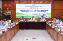 Việt Nam đứng thứ 6 thế giới về sản lượng thịt lợn