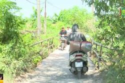 Phúc Thọ: Nhiều cây cầu dân sinh kêu cứu