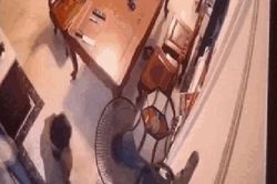 Hãi hùng cảnh người giúp việc xuống tay dã man rồi vứt xác chó cưng khi chủ vắng nhà