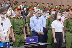 Tuyên án 54 bị cáo trong vụ 'chuyến bay giải cứu'