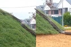 Đi dạo cho khỏe người, đứng tim vì đụng độ 'trăn tinh' khổng lồ