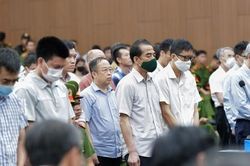 Vì sao nhiều bị cáo trong vụ 'chuyến bay giải cứu' nhận mức án cao hơn đề nghị của Viện kiểm sát?