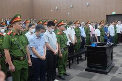 Vụ chuyến bay 'giải cứu': Cựu thư ký Thứ trưởng Bộ Y tế và 3 bị cáo lãnh án chung thân
