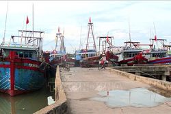 Quản lý chặt tàu cá có nguy cơ cao vi phạm khai thác IUU