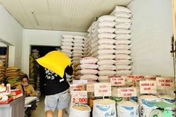 Giá gạo xuất khẩu sẽ tăng đến đâu?