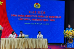 Công đoàn Công ty cổ phần Tập đoàn GELEX: Đoàn kết tạo nên thành công